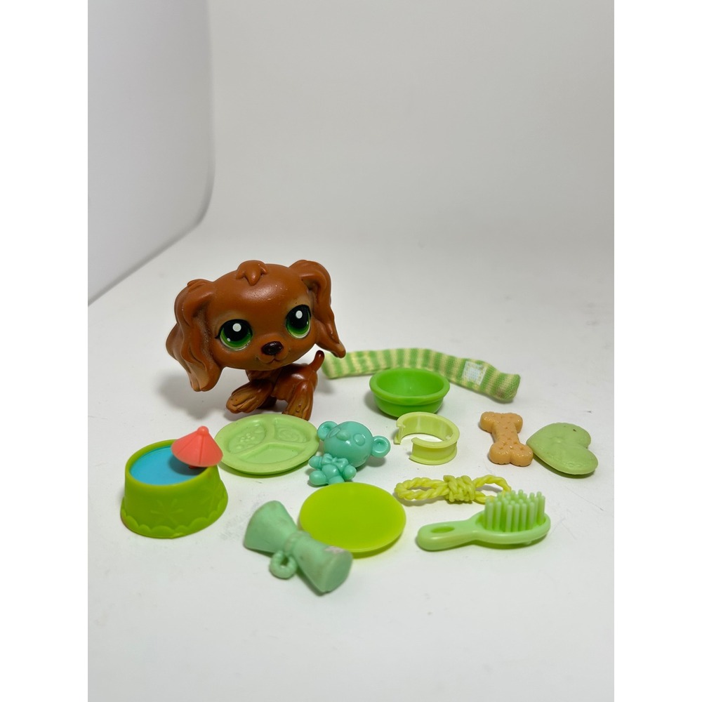 Hasbro Littlest Pet Shop‎ Brown Cocker Spaniel 252 Green Eyes with Accessories